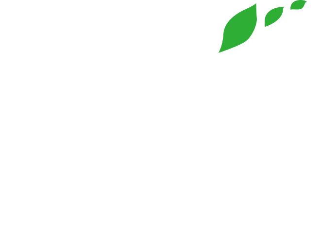 糸島Eco-Tourism