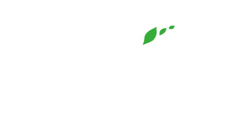 地球にやさしく、「糸島」を遊び尽くす。