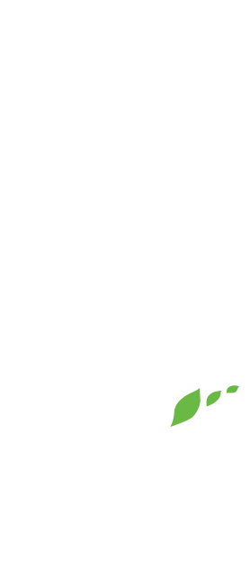 地球にやさしく、「糸島」を遊び尽くす。